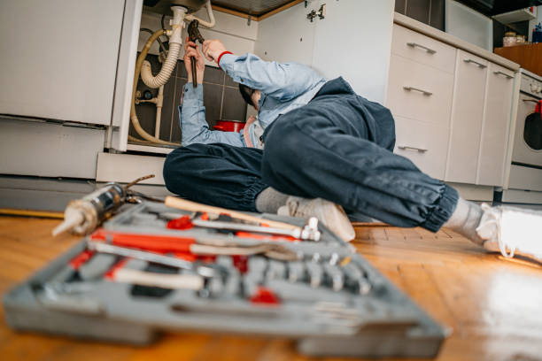 Best Commercial Plumbing Services  in Minden, NV